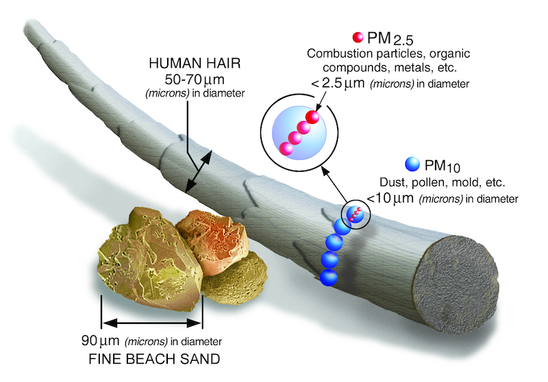 Illustration showing the scale of particulate matter